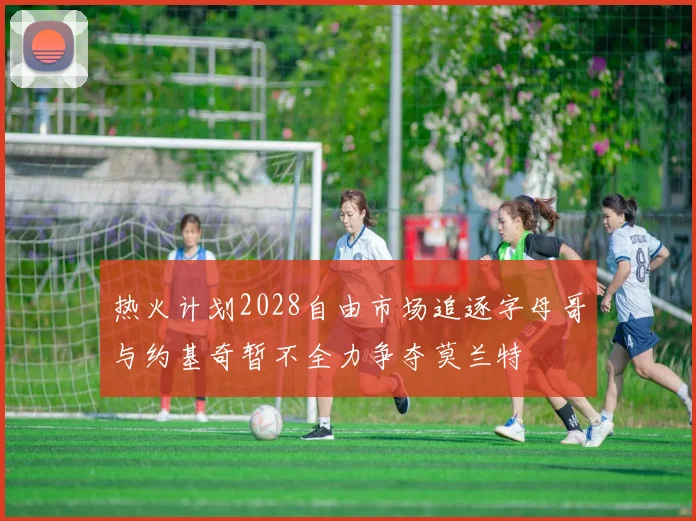 热火计划2028自由市场追逐字母哥与约基奇暂不全力争夺莫兰特